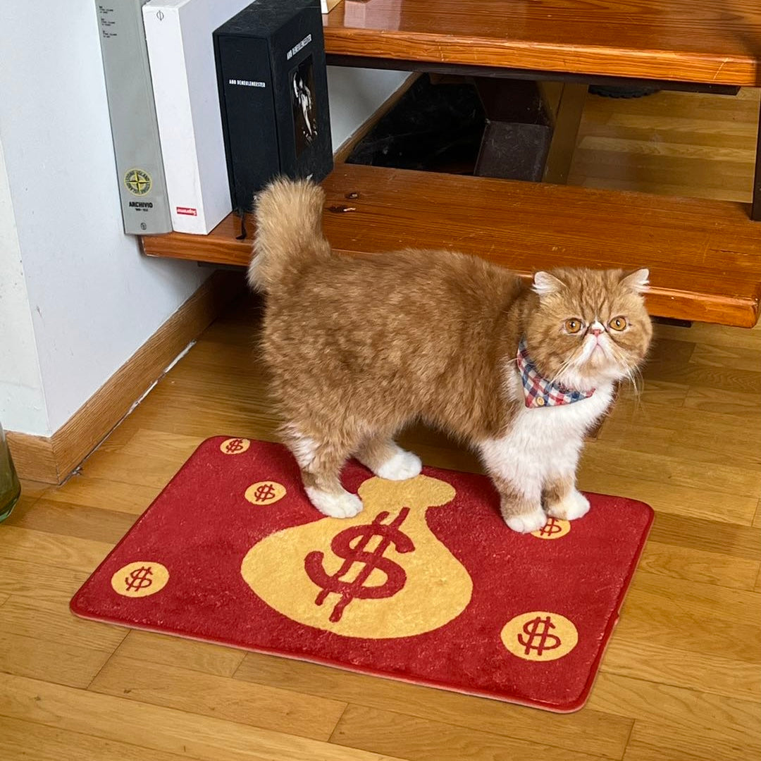 Money bag rug